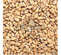 Солод Курский пшеничный светлый, 1 кг