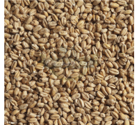Солод Wheat Light (Stamag), 1 кг