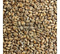 Солод Weyermann Wheat Dark (Пшеничный темный), 1 кг