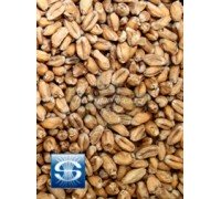 Солод Soufflet Wheat (Пшеничный), 1 кг
